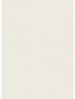 Omexco Carta da parati Silky - BOP303