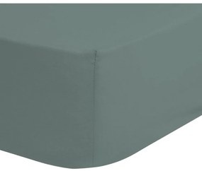 Lenzuolo elastico in cotone verde baby, 70 x 140/150 cm - Good Morning