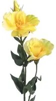 Set 8 Lisianthus Artificiali Composto da 3 Fiori Altezza 75 cm Giallo