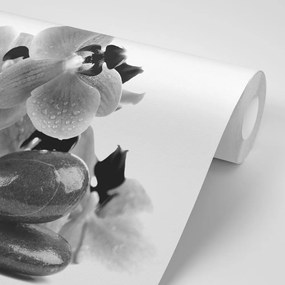 Carta da parati – Pietre bianco e nero e orchidea