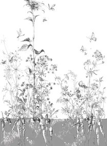 Edmond Petit Carta da parati Lièvres/Fenouil/Tournesol - Gris - Tournesol Gauche - Gris