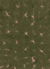 Coordonné Carta da parati Kanoko - Moss