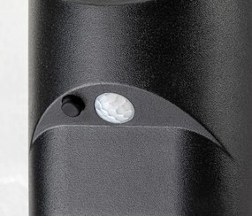 Rabalux 77013 - Luce solare a LED con sensore SEPIK LED/3,6W/3,7V IP44