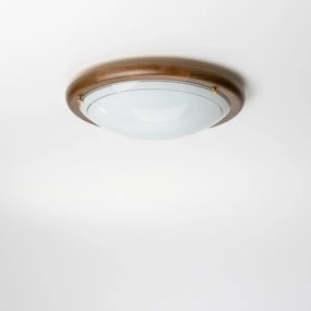 Rabalux 5417 - Plafoniera UFO E27/60W/230V