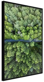 Poster  Forest from a Bird's Eye View  Cornice Quadri Cornice nera, Larghezza x Altezza Home decor 30x45