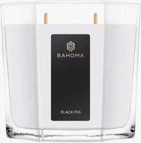Candela profumata XL fatta a mano Black Fig (gelsomino, fico, sandalo)
