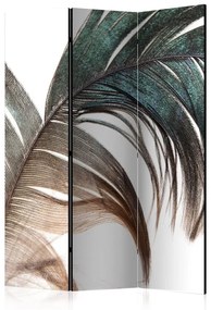 Paravento Beautiful Feather [Room Dividers]
