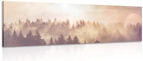 Stampa su tela – Nebbia sopra la foresta