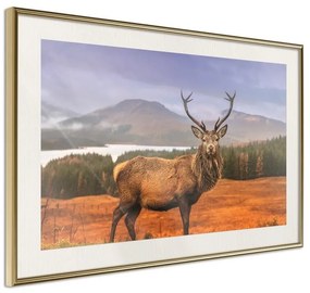 Poster  Majestic Deer  Cornice Quadri Cornice d'oro con passe-partout, Larghezza x Altezza Home decor 30x20