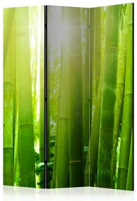 Paravento  Sun and bamboo [Room Dividers]  Colore Verde, Dimensioni e Misure 135x172