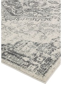 Tappeto grigio e crema 120x170 cm Nova - Asiatic Carpets