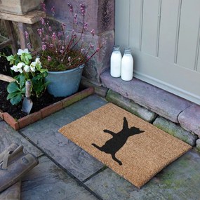 Stuoia di cocco 40x60 cm Cat - Artsy Doormats