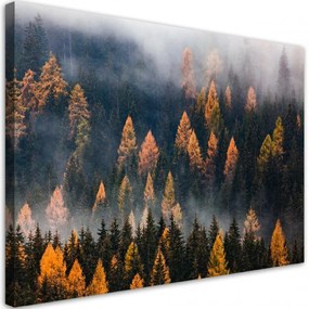 Quadro su tela, Alberi autunnali  Dimensioni Tappeti 60x40