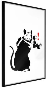 Poster  Banksy: Rat Photographer  Cornice Quadri Cornice nera, Larghezza x Altezza Home decor 30x45