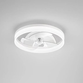 Ventilatore da soffitto Espero trasparente, Ø 50 cm, CCT, dimmerabile, INTEC IP20