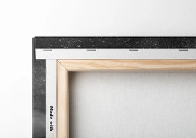 Quadro su tela – Tenda sotto il cielo notturno in bianco e nero