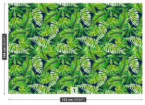 Carta da parati Foglie tropicali 104x70 cm