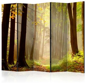 Paravento Sentiero nel bosco misterioso II (5 parti) - Paesaggio tra alberi