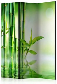 Paravento Green Bamboo [Room Dividers]