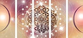 Quadri 5 pezzi – Mandala affascinante