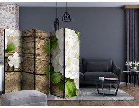 Paravento  Raw beauty II [Room Dividers]  Colore ---, Dimensioni e Misure 225x172