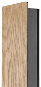 Eglo 900325 - Applique a LED ZUBIALDE LED/12W/230V