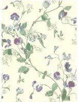 Tapete Sweet Pea von Cole & Son - Violet