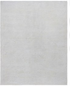 Neo Tappeto orientale 250x310 Beige (Pakistan) Annodato A Mano