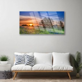 Quadro acrilico Prato, sole, paesaggio 100x50 cm