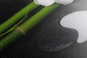 Quadro su tela – Natura morta Spa e pietre Jin e Jang