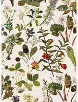 House of Hackney Tapete Herbarium - Ecru