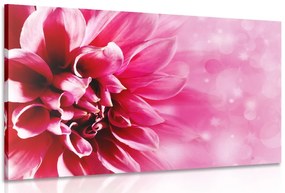 Stampa su tela – Fiore rosa