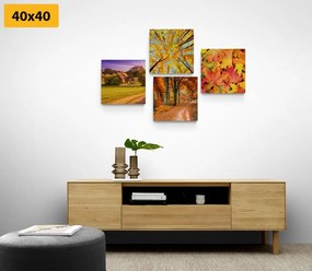 Set di quadri – Natura in colori autunnali