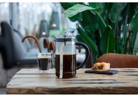 Pressa francese - Leopold Vienna