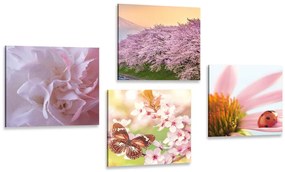 Set di quadri – Fioritura della natura