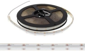 Striscia LED COB RGBW 20W/m Multicolore e B. Naturale 24VDC IP67 5m Professional Colore RGBW