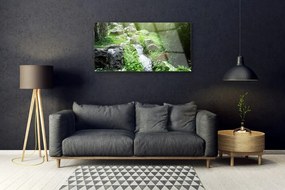 Quadro su vetro Impianto naturale di Grass Creek 100x50 cm