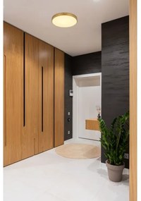 Globo 12381-22 - Plafoniera LED TIBEY LED/22W/230V diametro 35 cm