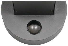 Illuminazione esterna con sensore di movimento da parete (altezza totale 24,5 cm) Fraser – Trio