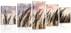 Quadri 5 pezzi – Erba al tramonto