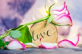 Stampa su tela – Dichiarazione romantica Love