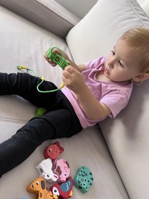 Vilac - Figure da infilare - animali domestici