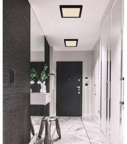 Globo 12380-18B - Plafoniera LED LASSE LED/18W/230V 3000/4000/6500K nero