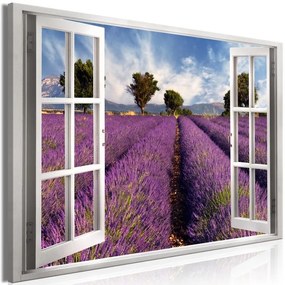 Quadro Lavender Field (1 Part) Wide