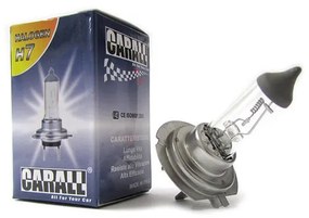 Lampada Alogena Camion H7 24V 70W PX26d Marca CARALL