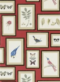 Sanderson Carta da parati Picture Gallery - Red/ Multi
