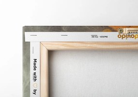 Stampa su tela – Rose con elementi astratti