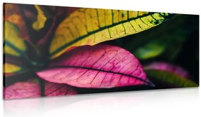 Quadro su tela – Foglie fresche