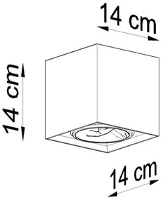 Luce Spot VALDE 1xGU10/40W/230V