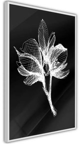 Poster White Plant